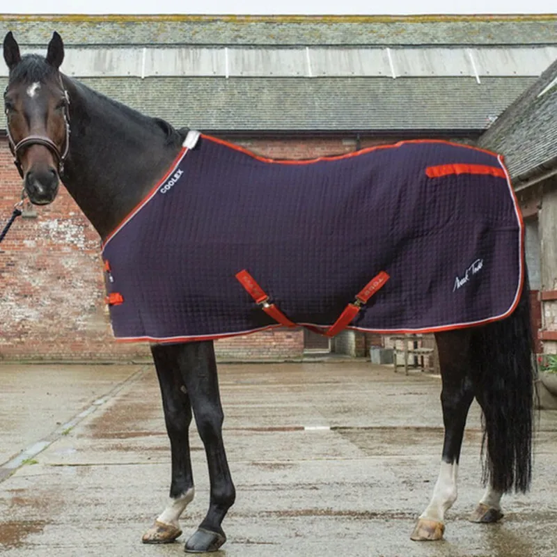 Mark Todd Coolex Cooler - Navy/Red